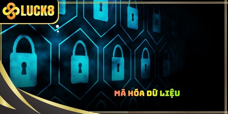 Chính sách bảo mật LUCK8 và công nghệ mã hoá dữ liệu cá nhân SSL uy tín